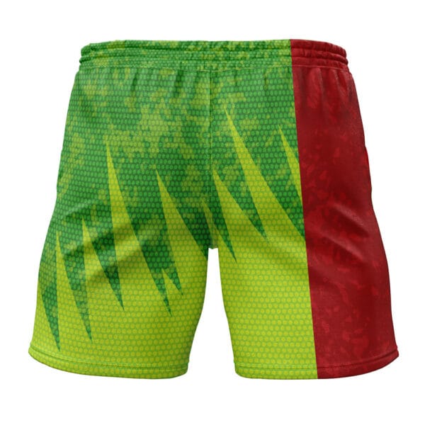 Rayquaza Classic Pokemon Gym Shorts