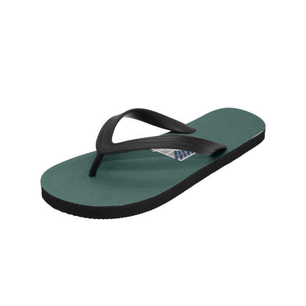 Anime Survey Corps Attack On Titan Custom Flip Flops